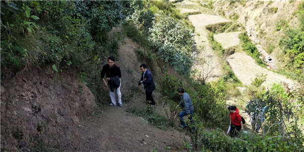 1542161942436643.png 图片6.png