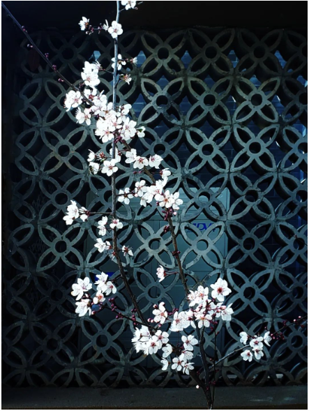 1701758842702599.png image.png