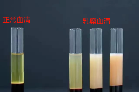 1704187001760825.png image.png